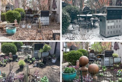 Backyard Garden Progress