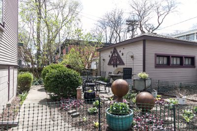 The Newly Planted Backyard Garden