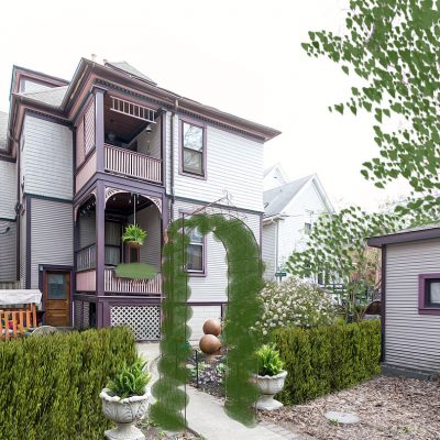 The Newly Planted Backyard Garden - Projected