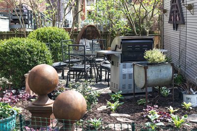 Grow, New Little Plants!