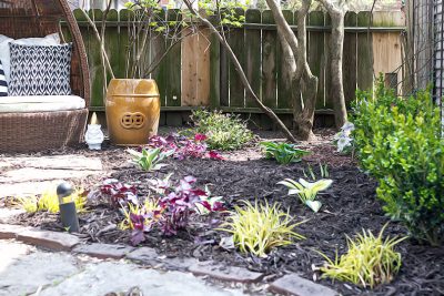 New Plantings