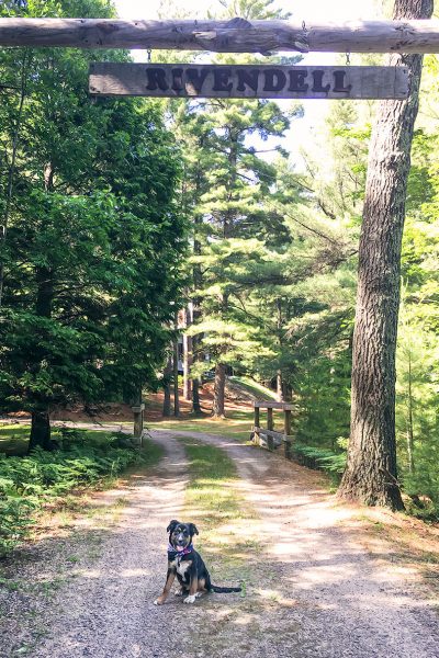 Oscar Danger at Rivendell