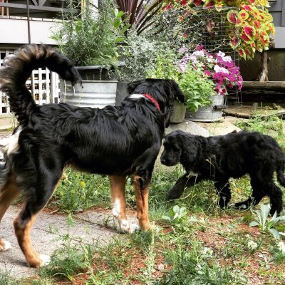 Oscar and Lily