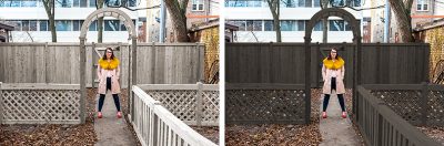 Fence Stain Color Options