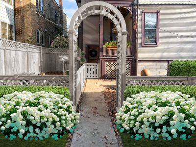 Backyard New Fence and Plants Mockup