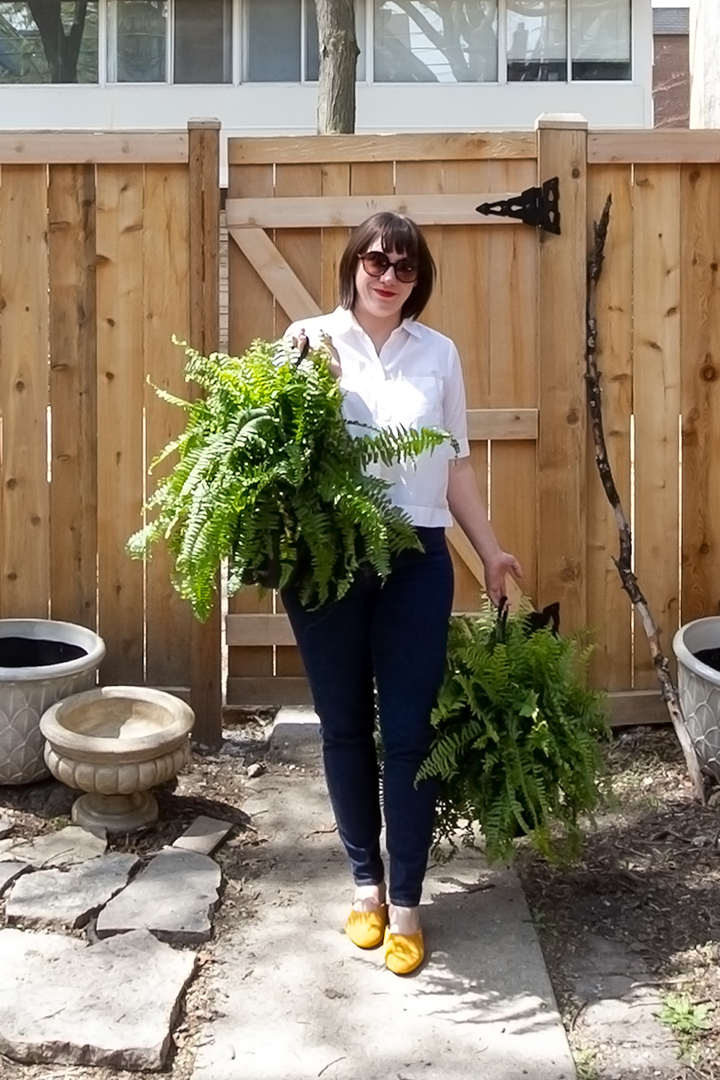Planning a Secluded Garden