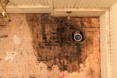 Water-Damaged Subfloor from Toilet Leak