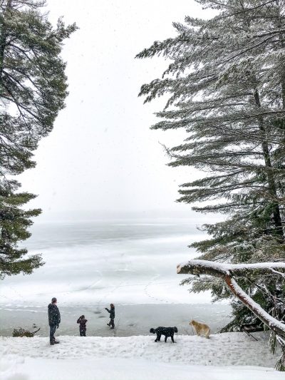 A Winter Wonderland