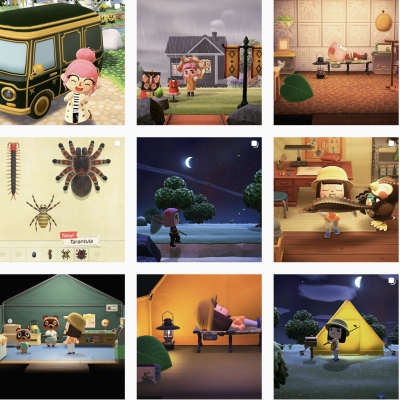 ACLuluLovely Instagram Animal Crossing Account (New Horizons)