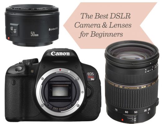 The Best DSLR Canon Camera and Lenses for Beginners