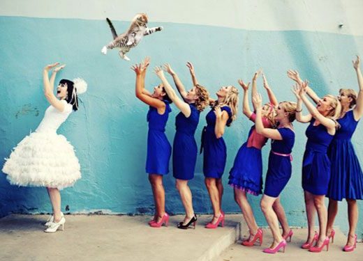 Brides Throwing Cats