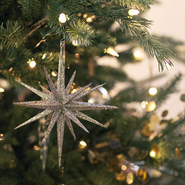 Glittery Christmas Ornament