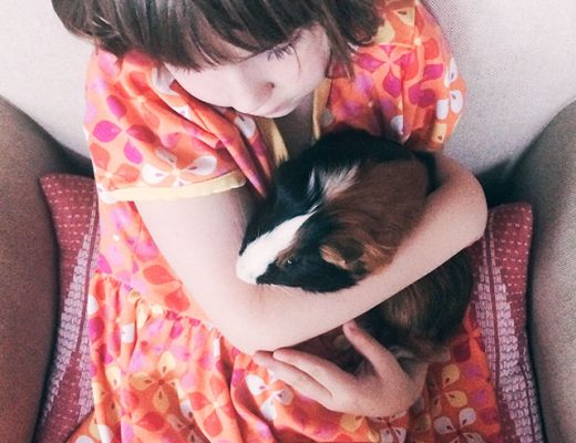 Eleanor and Gingerbread, the Guinea Pig