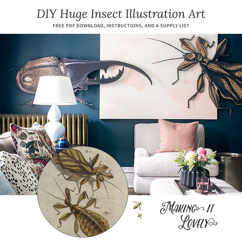 Free Download - DIY Huge Insect Antique Illustration Art | Making it Lovely