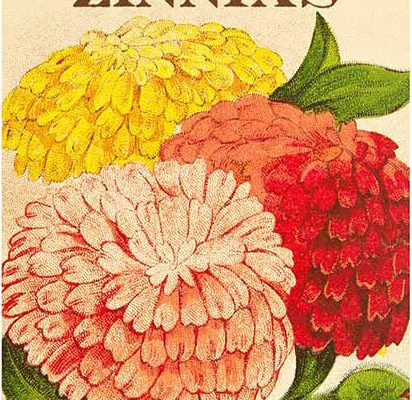 USPS Vintage Seed Packet Stamps - Zinnia