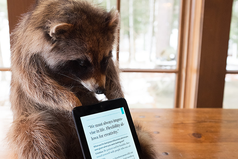 Even raccoons love reading on a NOOK!