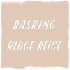 Paint Color: Basking Ridge Beige, Benjamin Moore