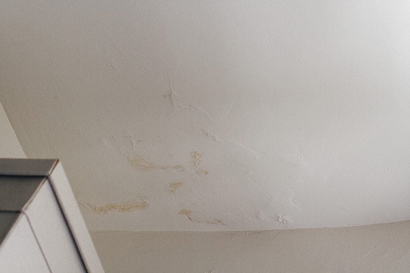 Plaster Ceiling with Water Damage