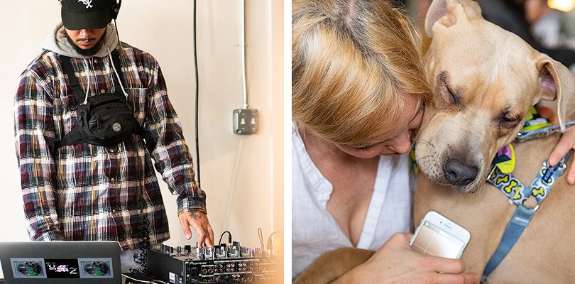 DJs and Dogs